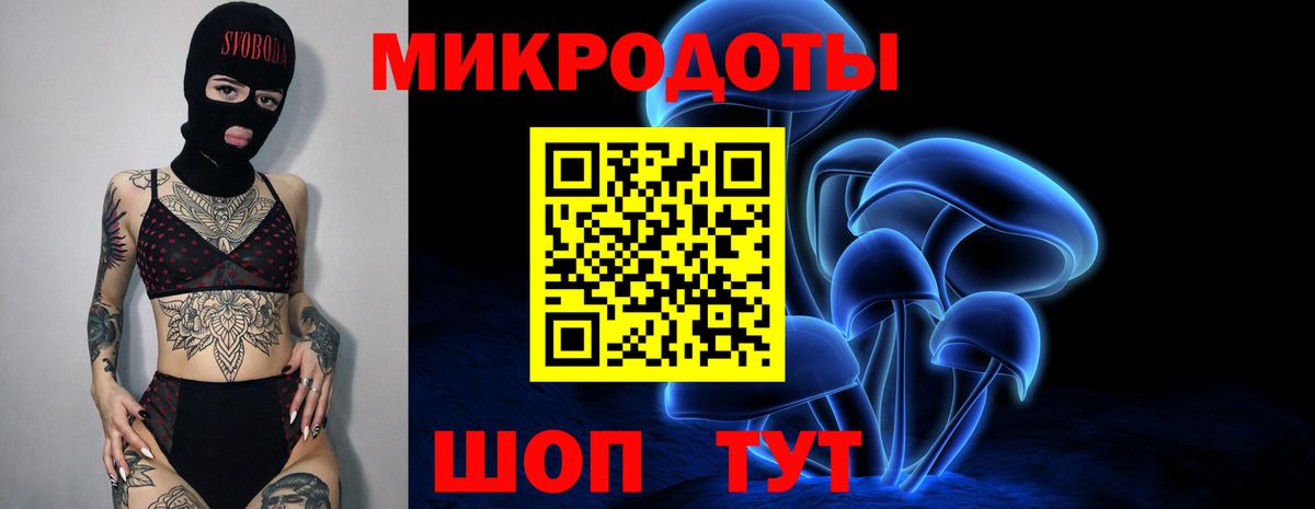 Галлюциногенные грибы Psilocybine cubensis Барабинск